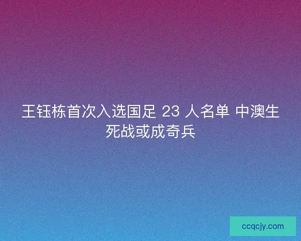 王钰栋首次入选国足 23 人名单 中澳生死战或成奇兵