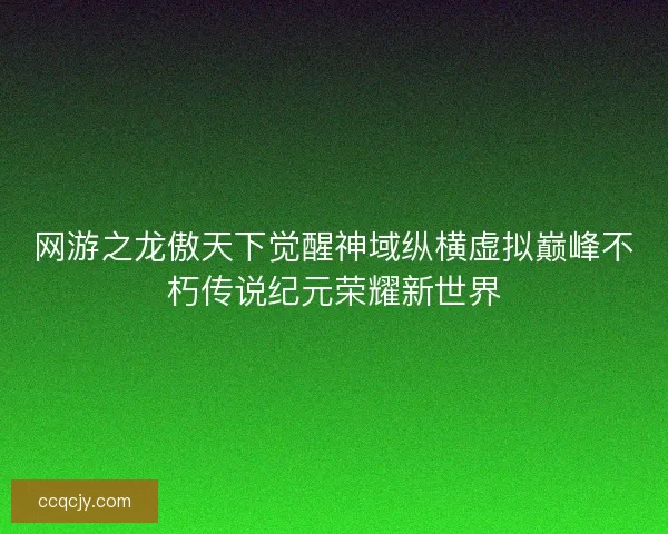 网游之龙傲天下觉醒神域纵横虚拟巅峰不朽传说纪元荣耀新世界