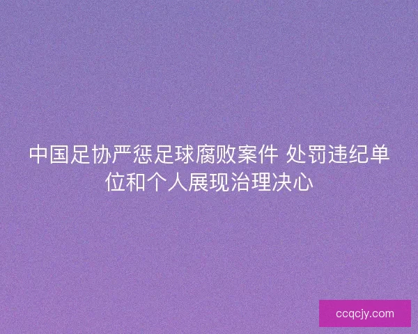 中国足协严惩足球腐败案件 处罚违纪单位和个人展现治理决心